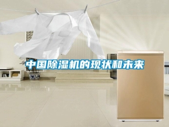 知識百科中國除濕機的現(xiàn)狀和未來