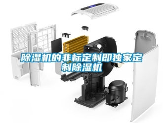 企業新聞除濕機的非標定制即獨家定制除濕機