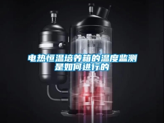 知識百科電熱恒溫培養箱的溫度監測是如何進行的