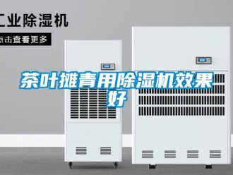 企業新聞茶葉攤青用除濕機效果好