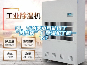 行業新聞嘿，你的家電可能得了“風濕病”！除濕機了解一下？