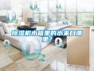 行業(yè)新聞除濕機(jī)水箱里的水來自哪里？