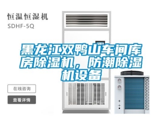 企業(yè)新聞黑龍江雙鴨山車間庫房除濕機(jī)，防潮除濕機(jī)設(shè)備