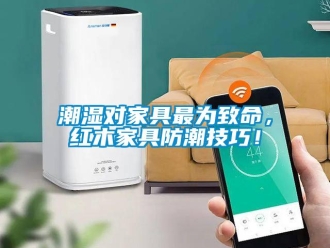 企業新聞潮濕對家具最為致命，紅木家具防潮技巧！
