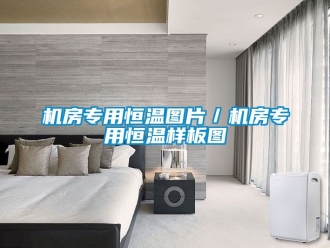 知識百科機(jī)房專用恒溫圖片／機(jī)房專用恒溫樣板圖