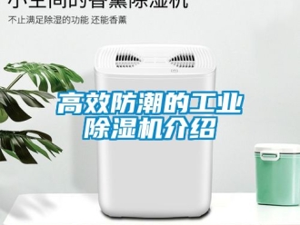 常見問題高效防潮的工業(yè)除濕機介紹