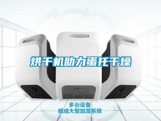 行業新聞烘干機助力蛋托干燥