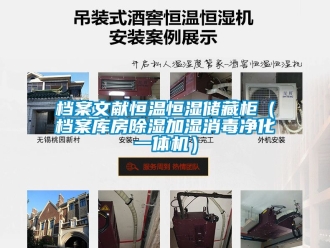 知識百科檔案文獻恒溫恒濕儲藏柜（檔案庫房除濕加濕消毒凈化一體機）