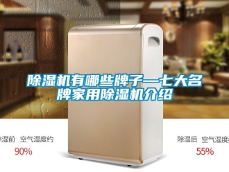 常見(jiàn)問(wèn)題除濕機(jī)有哪些牌子—七大名牌家用除濕機(jī)介紹