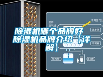 企業(yè)新聞除濕機(jī)哪個品牌好 除濕機(jī)品牌介紹【詳解】