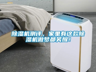 企業新聞除濕機測評，家里有這款除濕機做夢都笑醒！