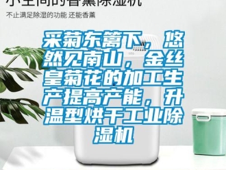 企業新聞采菊東籬下，悠然見南山，金絲皇菊花的加工生產提高產能，升溫型烘干工業除濕機