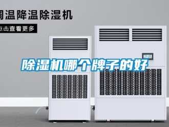 行業新聞除濕機哪個牌子的好
