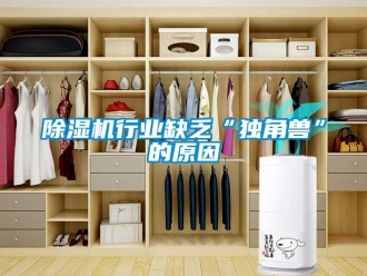 企業新聞除濕機行業缺乏“獨角獸”的原因
