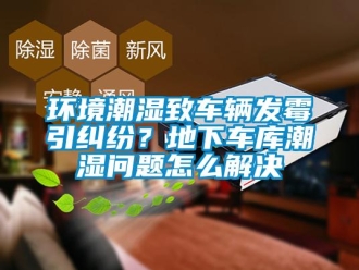 常見問題環(huán)境潮濕致車輛發(fā)霉引糾紛？地下車庫潮濕問題怎么解決
