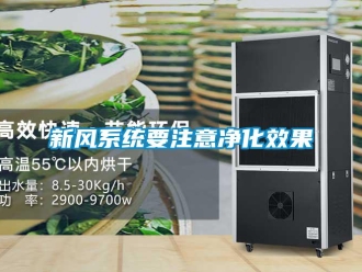 知識百科新風系統要注意凈化效果