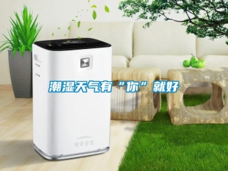 企業(yè)新聞潮濕天氣有“你”就好