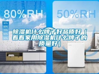 常見問題除濕機什么牌子好品質好（看看家用除濕機什么牌子的質量好）