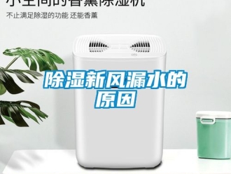 企業新聞除濕新風漏水的原因