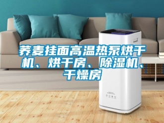 行業(yè)新聞蕎麥掛面高溫?zé)岜煤娓蓹C(jī)、烘干房、除濕機(jī)、干燥房