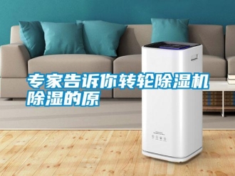 知識百科專家告訴你轉輪除濕機除濕的原
