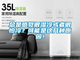 知識百科總是感覺很濕冷或者很怕冷？可能是這幾種原因！