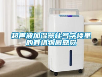 企業(yè)新聞超聲波加濕器讓寫字樓里的有植物園感覺