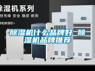 企業新聞除濕機什么品牌好 除濕機品牌推薦