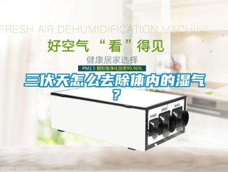 常見問題三伏天怎么去除體內(nèi)的濕氣？