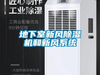 企業(yè)新聞地下室新風(fēng)除濕機(jī)和新風(fēng)系統(tǒng)