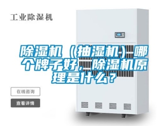 企業新聞除濕機（抽濕機）哪個牌子好，除濕機原理是什么？