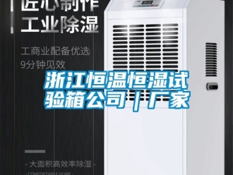 知識(shí)百科浙江恒溫恒濕試驗(yàn)箱公司｜廠家
