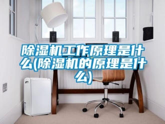 行業(yè)新聞除濕機工作原理是什么(除濕機的原理是什么)
