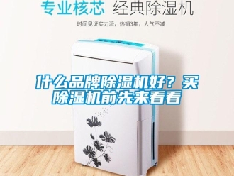 知識百科什么品牌除濕機好？買除濕機前先來看看