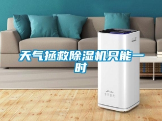 知識百科天氣拯救除濕機只能一時