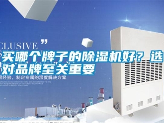 行業(yè)新聞買哪個(gè)牌子的除濕機(jī)好？選對(duì)品牌至關(guān)重要