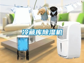 行業新聞冷藏庫除濕機