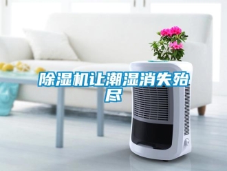 企業新聞除濕機讓潮濕消失殆盡