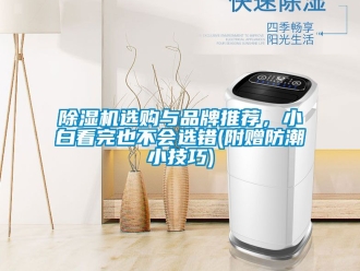 企業新聞除濕機選購與品牌推薦，小白看完也不會選錯(附贈防潮小技巧)