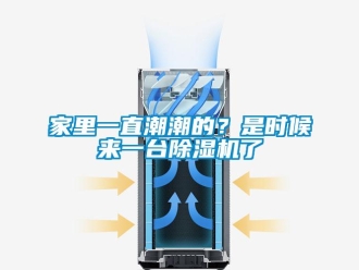 行業(yè)新聞家里一直潮潮的？是時候來一臺除濕機(jī)了