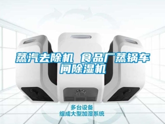企業(yè)新聞?wù)羝コ龣C(jī) 食品廠蒸鍋車間除濕機(jī)