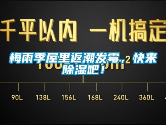 行業新聞梅雨季屋里返潮發霉，快來除濕吧！