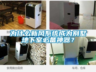 知識百科為什么新風系統成為別墅地下室必備神器？