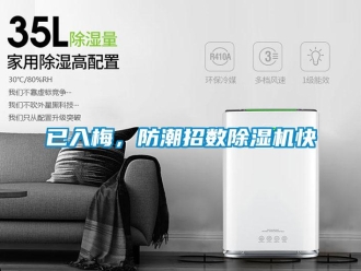 知識百科已入梅，防潮招數除濕機快