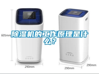 企業新聞除濕機的工作原理是什么？