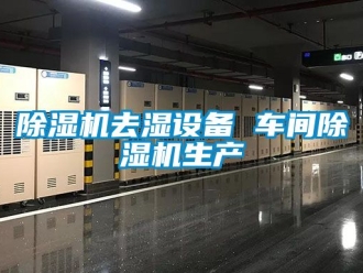 企業新聞除濕機去濕設備 車間除濕機生產