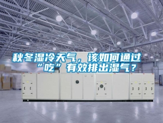 常見問題秋冬濕冷天氣，該如何通過“吃”有效排出濕氣？