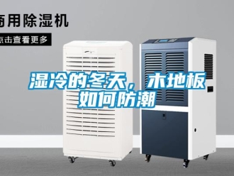 常見問題濕冷的冬天，木地板如何防潮