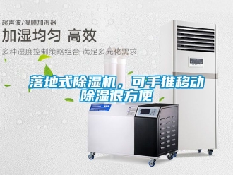 行業(yè)新聞落地式除濕機(jī)，可手推移動(dòng)除濕很方便