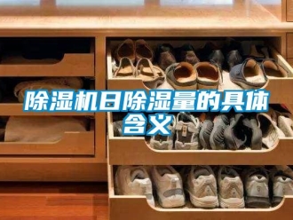 企業(yè)新聞除濕機(jī)日除濕量的具體含義